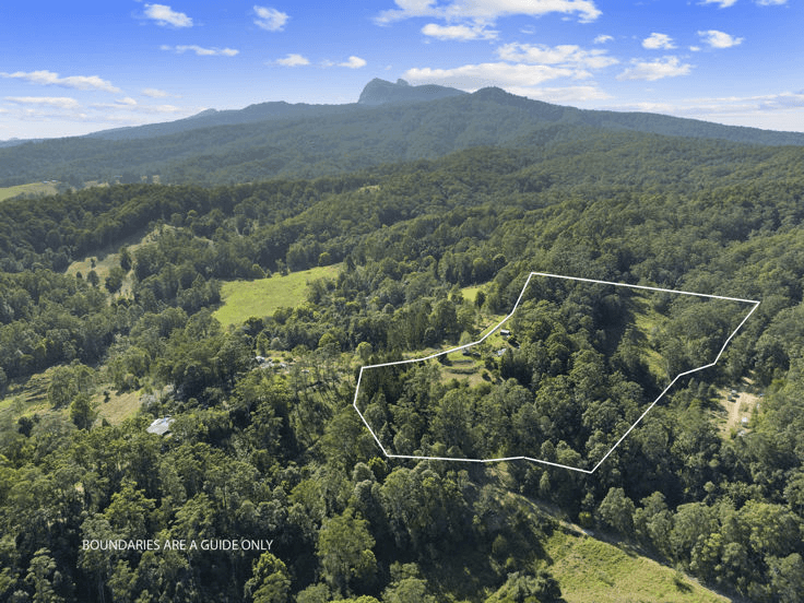 Lot 15/1283 Byrrill Creek Road, BRAYS CREEK, NSW 2484