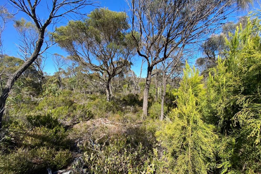 28 Nicholson Avenue, Coffin Bay, SA 5607