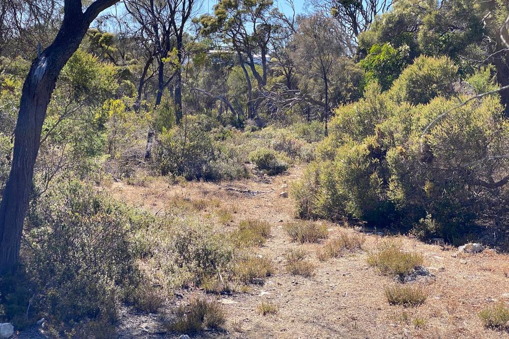 28 Nicholson Avenue, Coffin Bay, SA 5607
