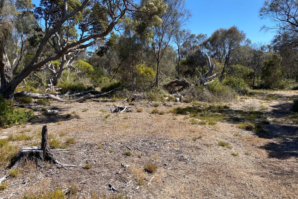 28 Nicholson Avenue, Coffin Bay, SA 5607