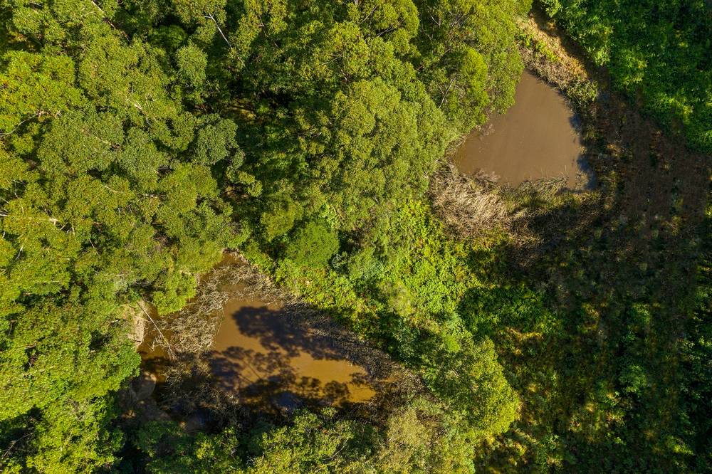 89  Hawken Road, Tomerong, NSW 2540