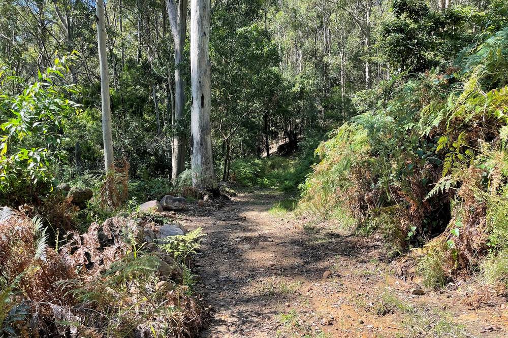 89  Hawken Road, Tomerong, NSW 2540