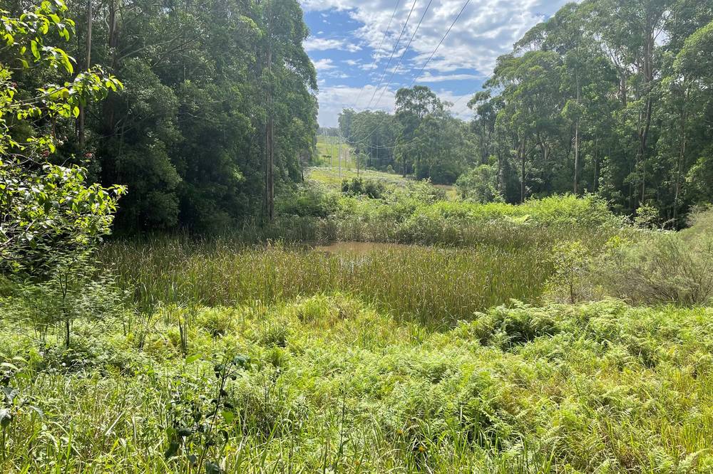 89  Hawken Road, Tomerong, NSW 2540