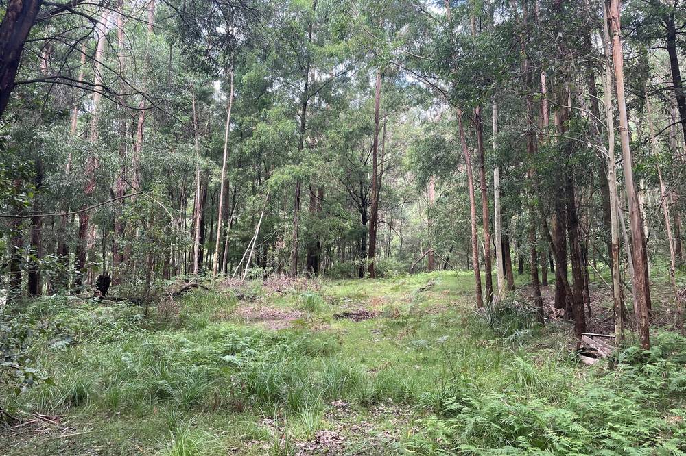 89  Hawken Road, Tomerong, NSW 2540