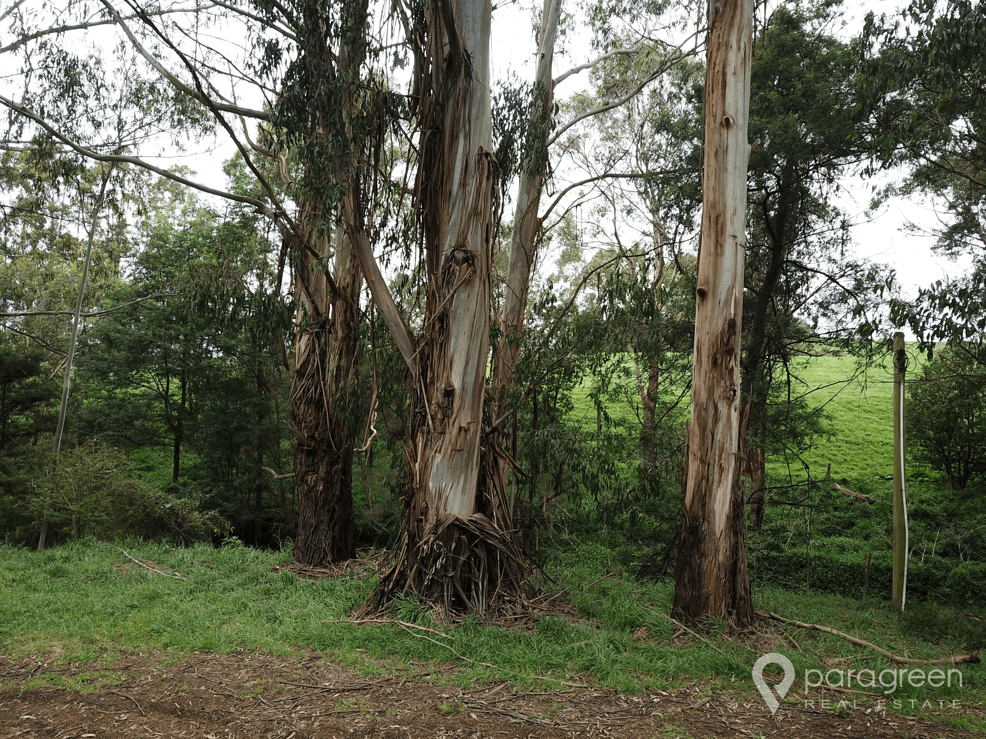 140 Franklin River Road, TOORA, VIC 3962