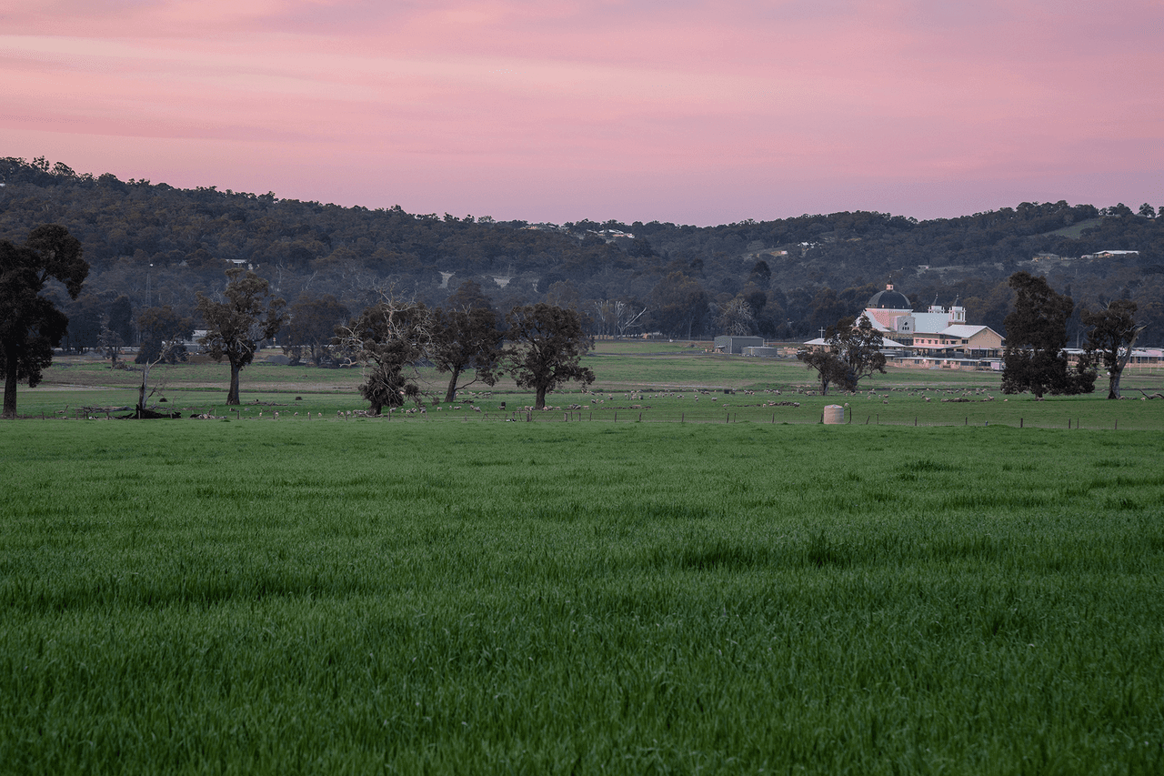 53 Zebu Road, LOWER CHITTERING, WA 6084