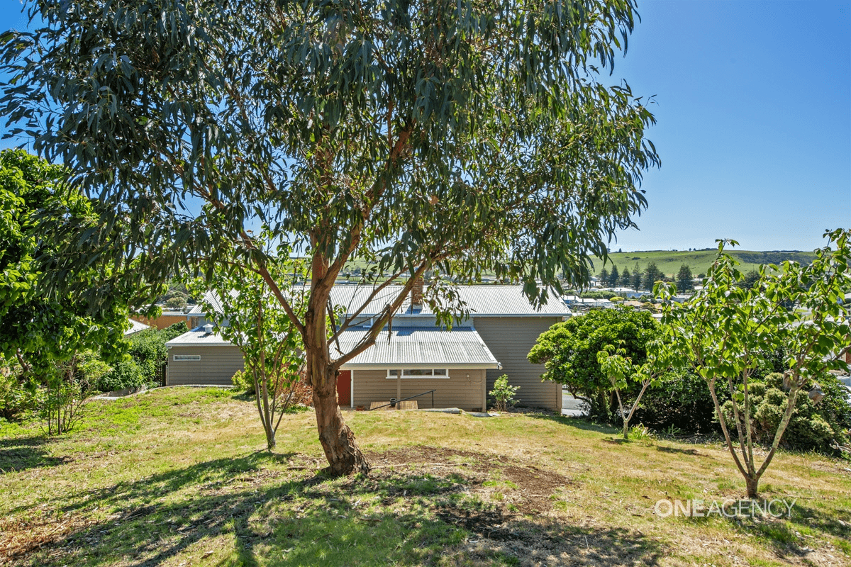 60 Alexander Terrace, Stanley, TAS 7331