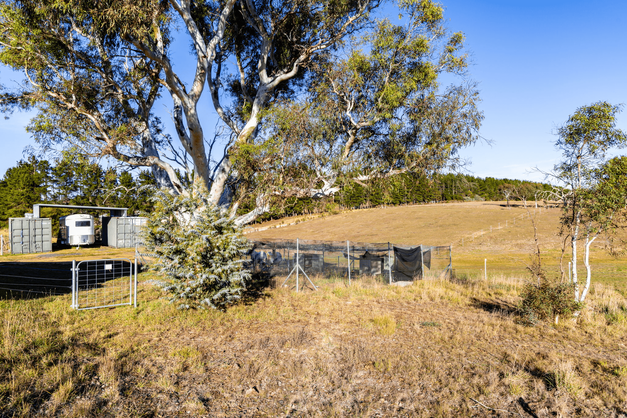 74 Woolshed Lane, BYWONG, NSW 2621