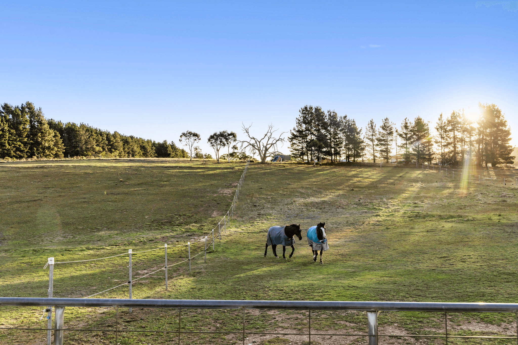 74 Woolshed Lane, BYWONG, NSW 2621