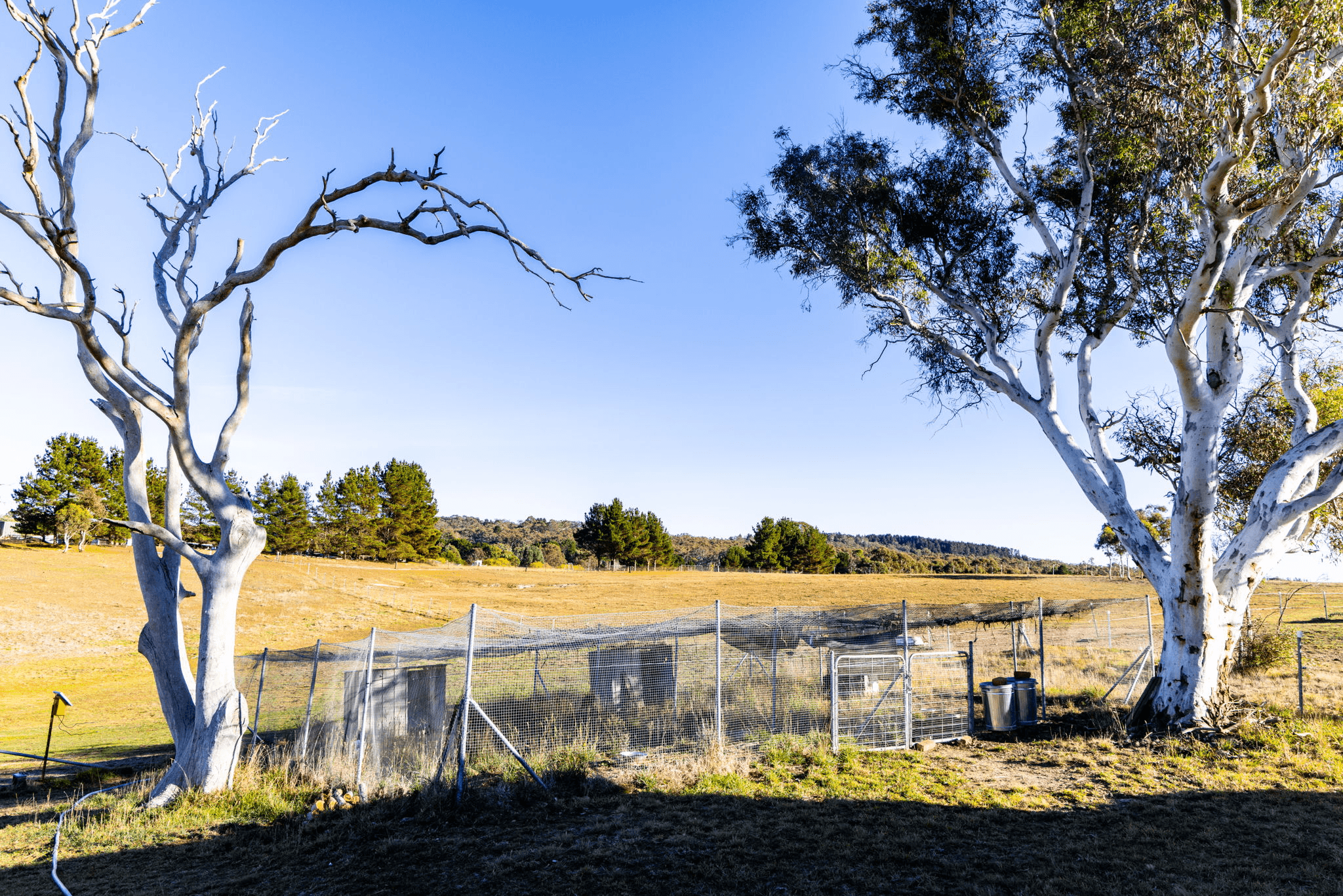 74 Woolshed Lane, BYWONG, NSW 2621
