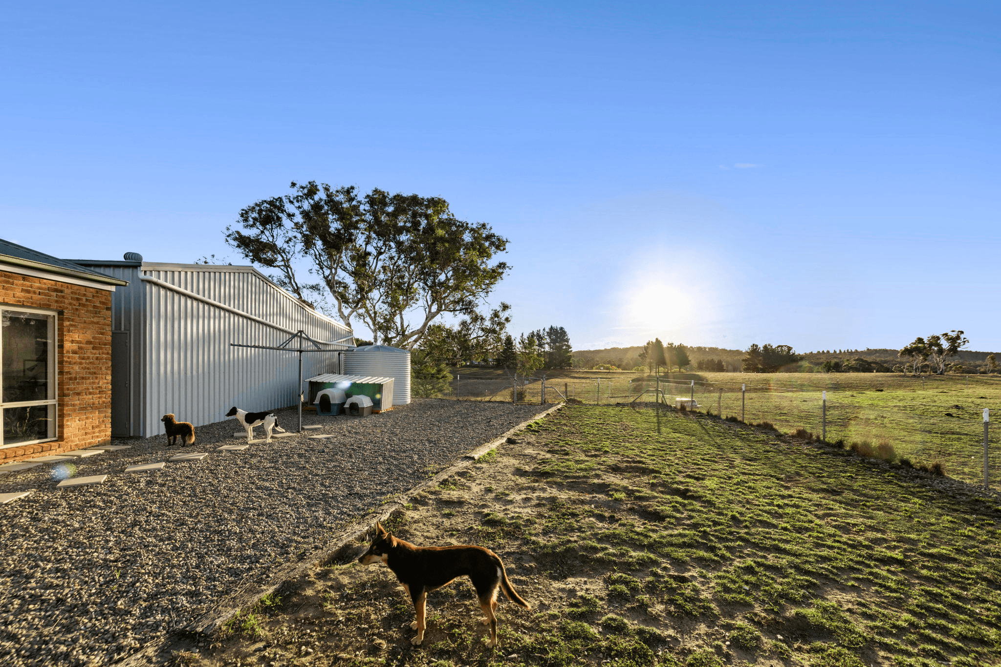 74 Woolshed Lane, BYWONG, NSW 2621