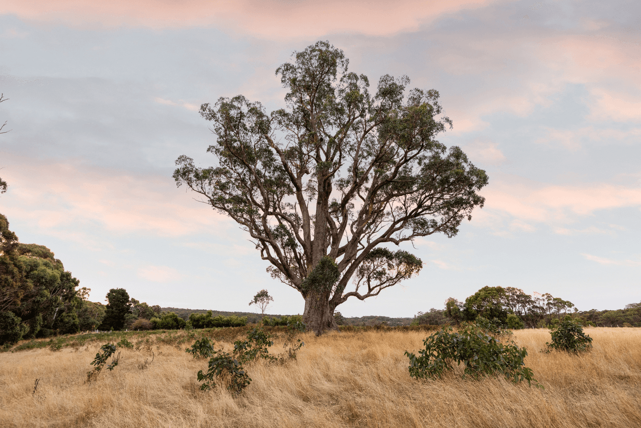 641 Burke And Wills Track, BENLOCH, VIC 3435