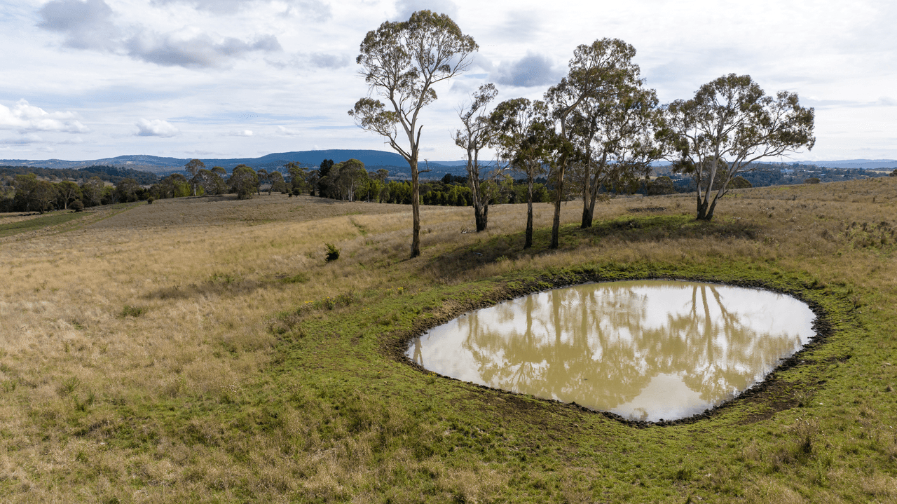 318 Bundarra Road, ARMIDALE, NSW 2350