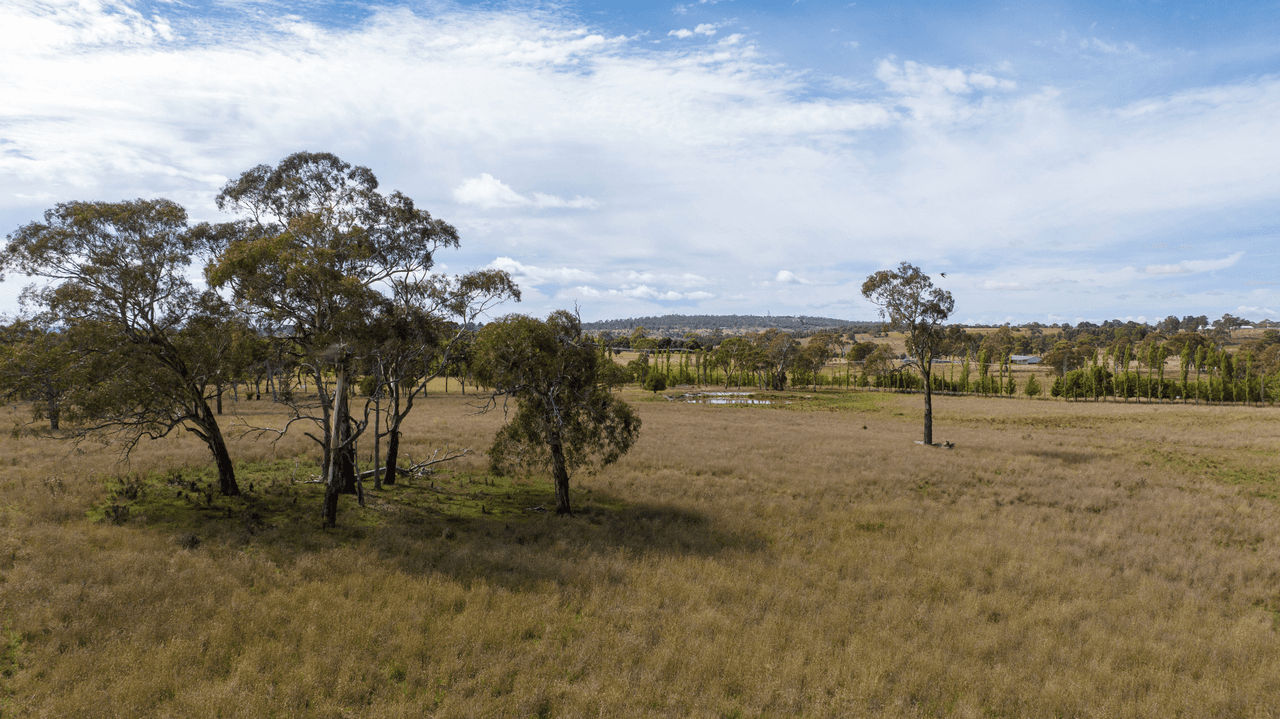 318 Bundarra Road, ARMIDALE, NSW 2350