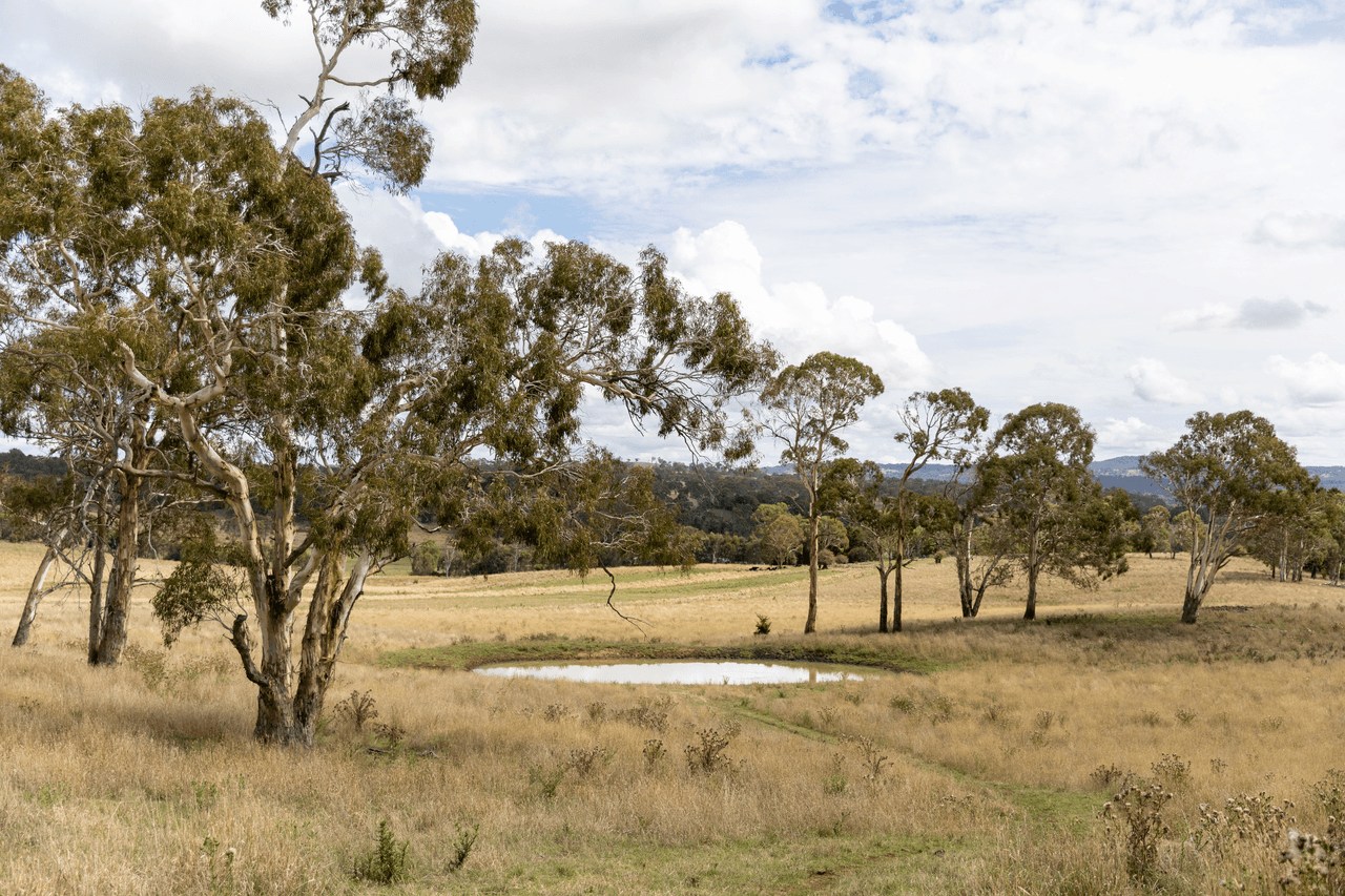 318 Bundarra Road, ARMIDALE, NSW 2350