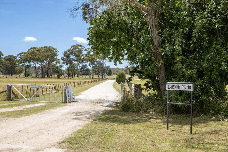 485 Black Mountain Road, BLACK MOUNTAIN, NSW 2365