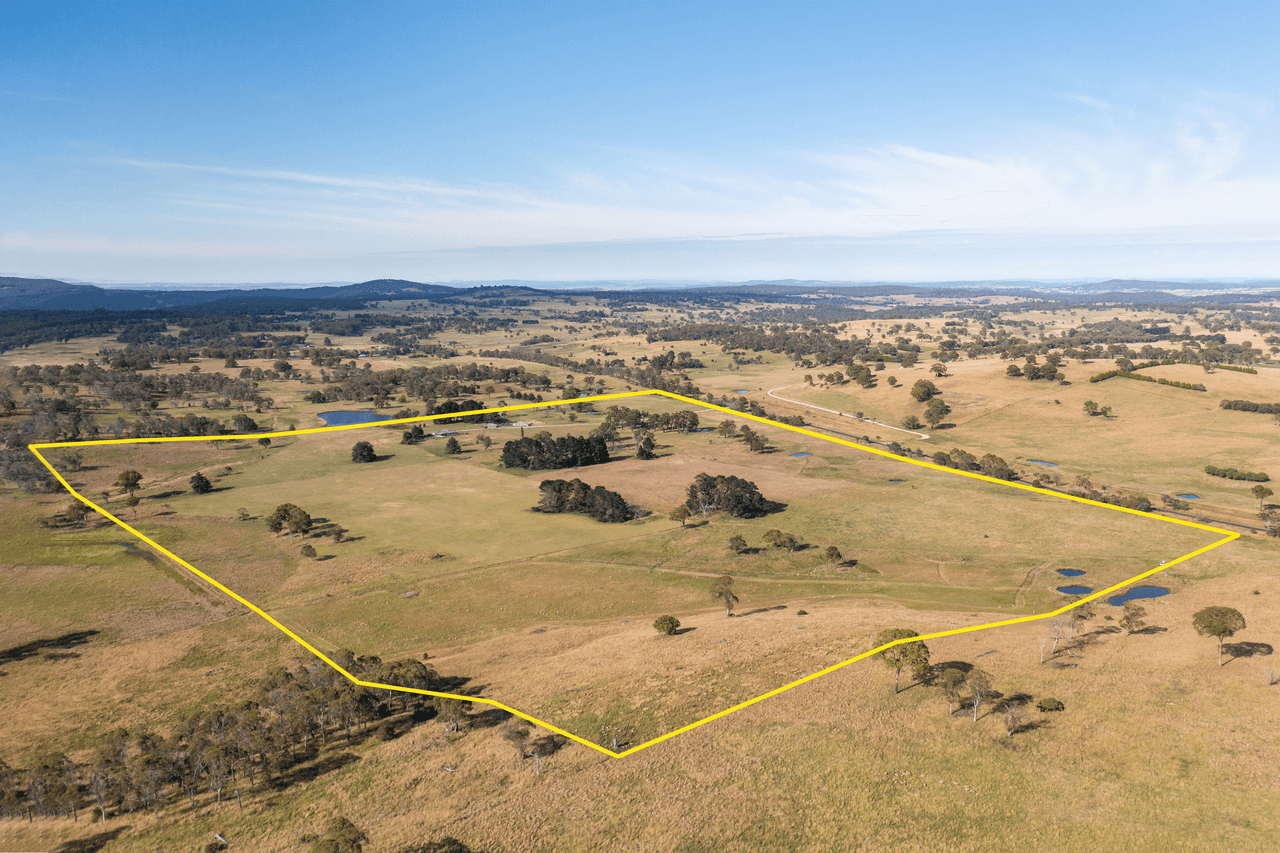 485 Black Mountain Road, BLACK MOUNTAIN, NSW 2365