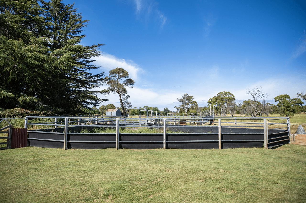 485 Black Mountain Road, BLACK MOUNTAIN, NSW 2365