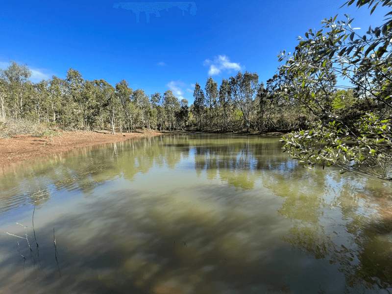 720 Maloney Road, THOOPARA, QLD 4800