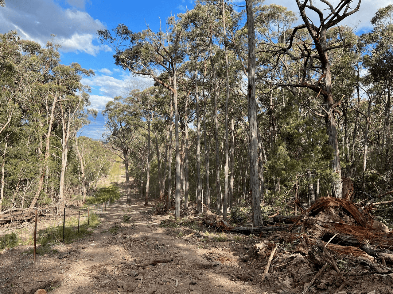 Lot 7 974 Jerrara Road, MARULAN, NSW 2579