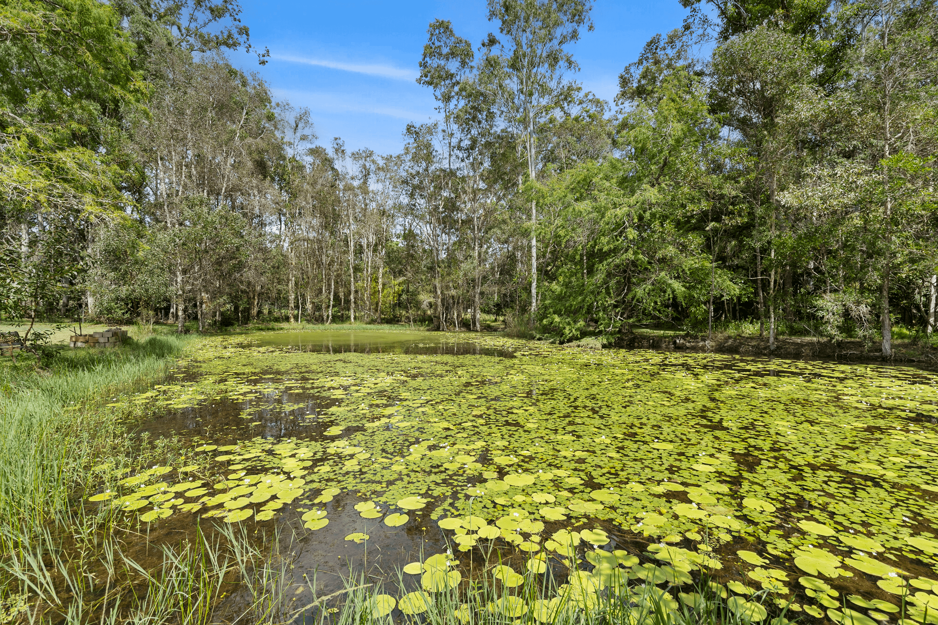 142 McLoughlin Road, Morayfield, QLD 4506