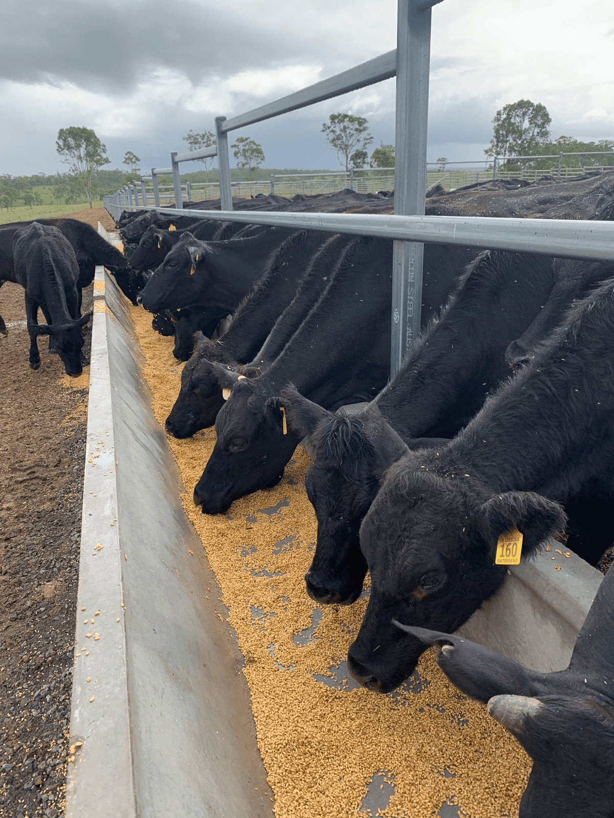 67 Mineral Road, Rosedale, QLD 4674