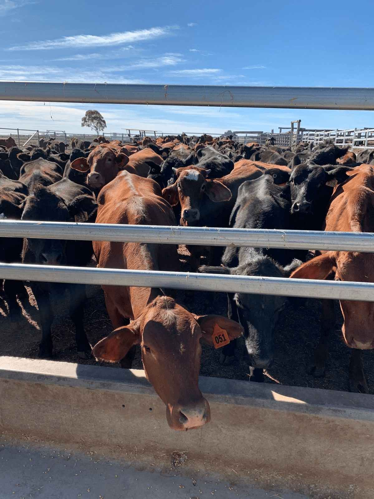 67 Mineral Road, Rosedale, QLD 4674
