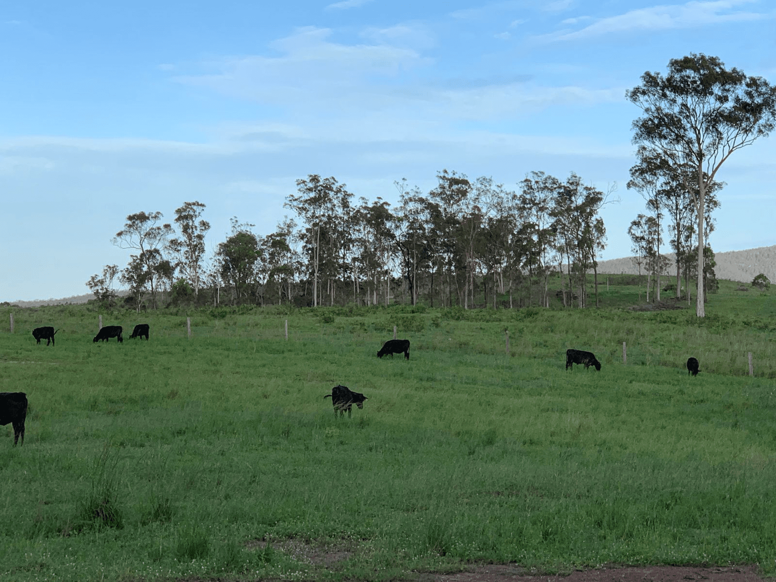 67 Mineral Road, Rosedale, QLD 4674