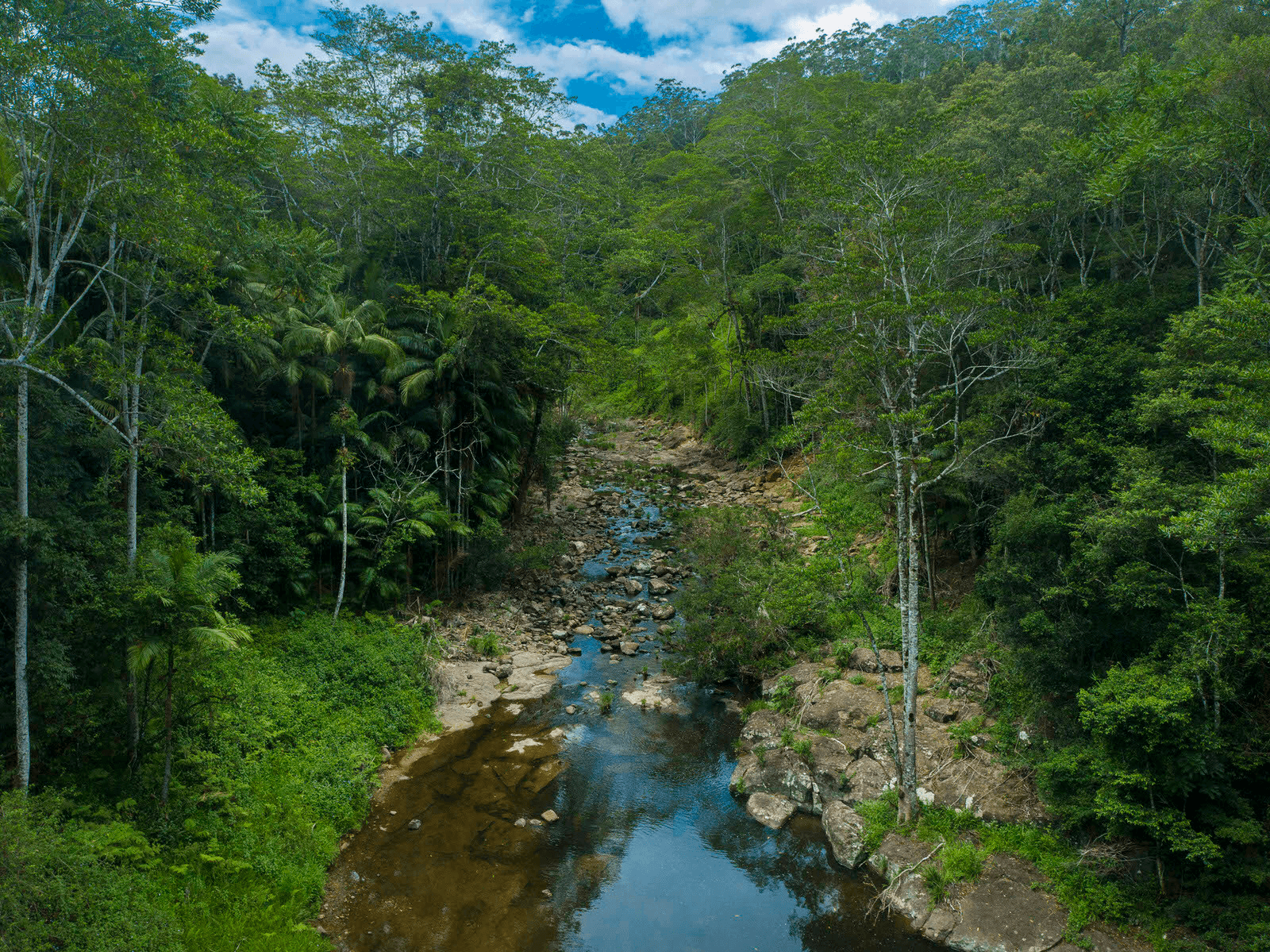 1044 Terania Creek Road, Terania Creek, NSW 2480