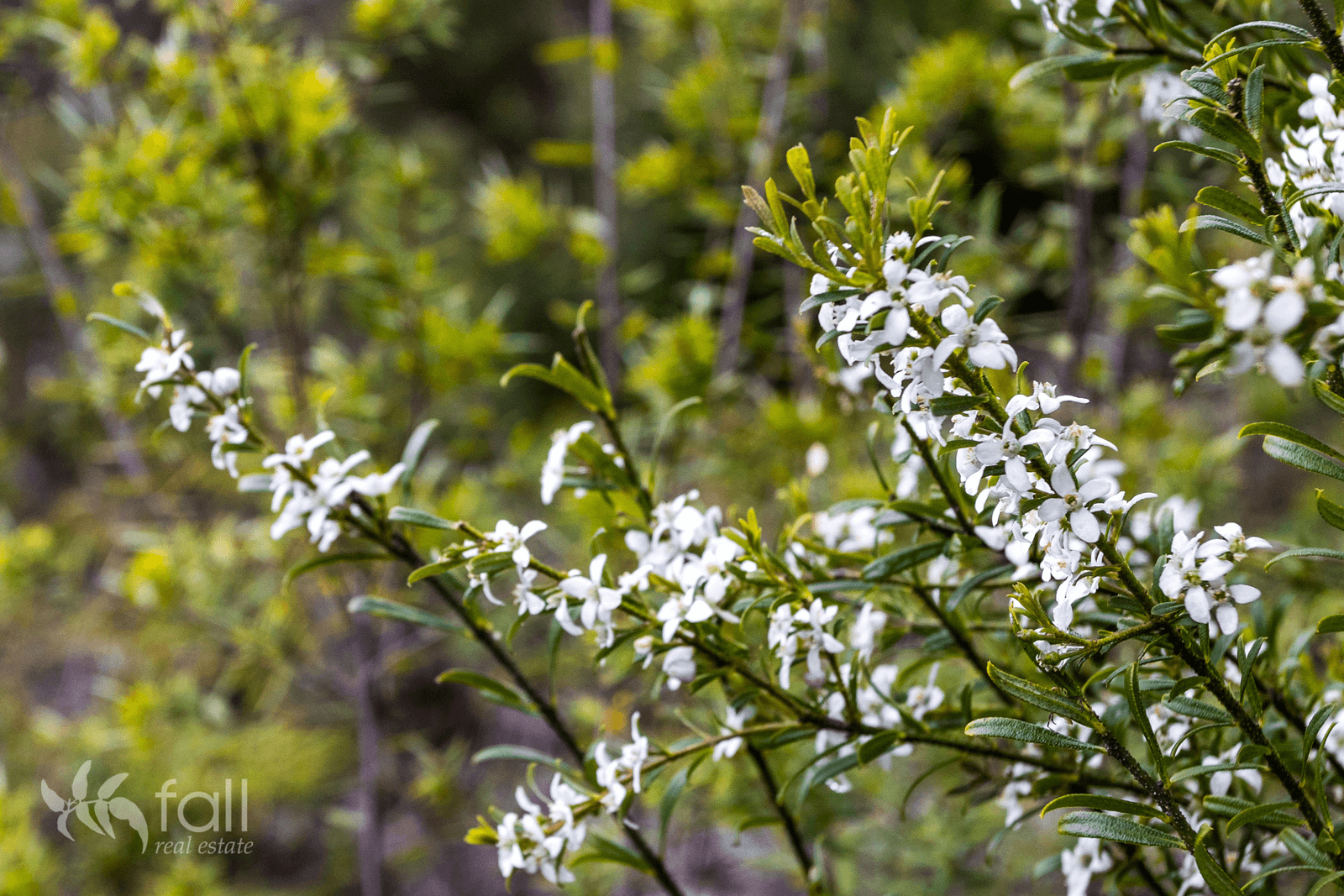 Lot 7 Abels Bay Road, DEEP BAY, TAS 7112