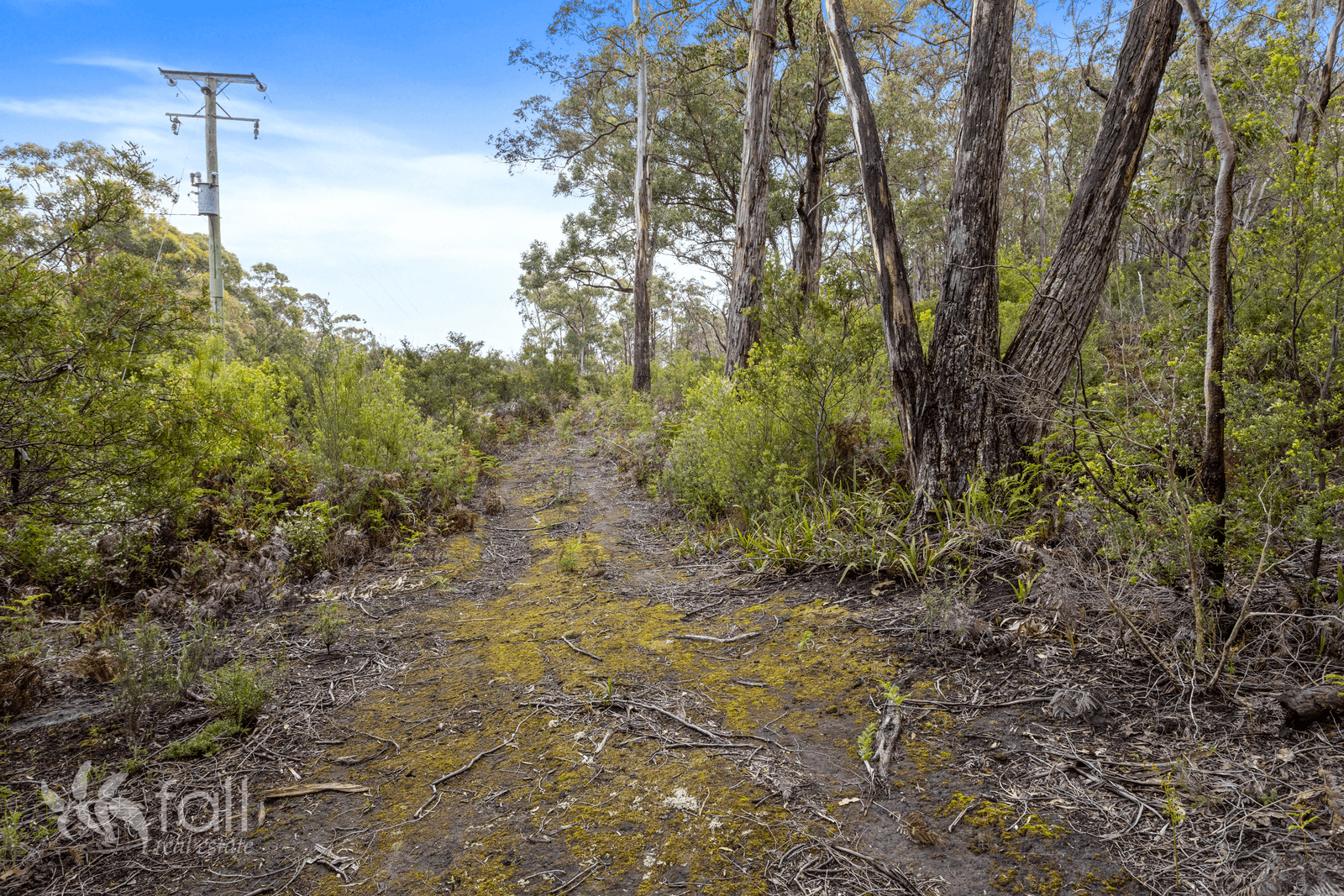 Lot 7 Abels Bay Road, DEEP BAY, TAS 7112