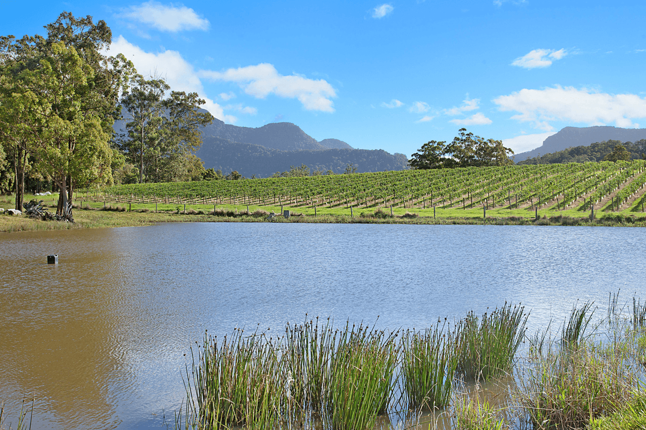 189 Hopkins Creek Road, HOPKINS CREEK, NSW 2484