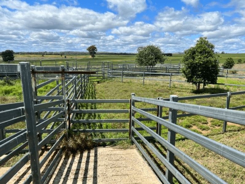 2941 Roma - Taroom Road, ROMA, QLD 4455