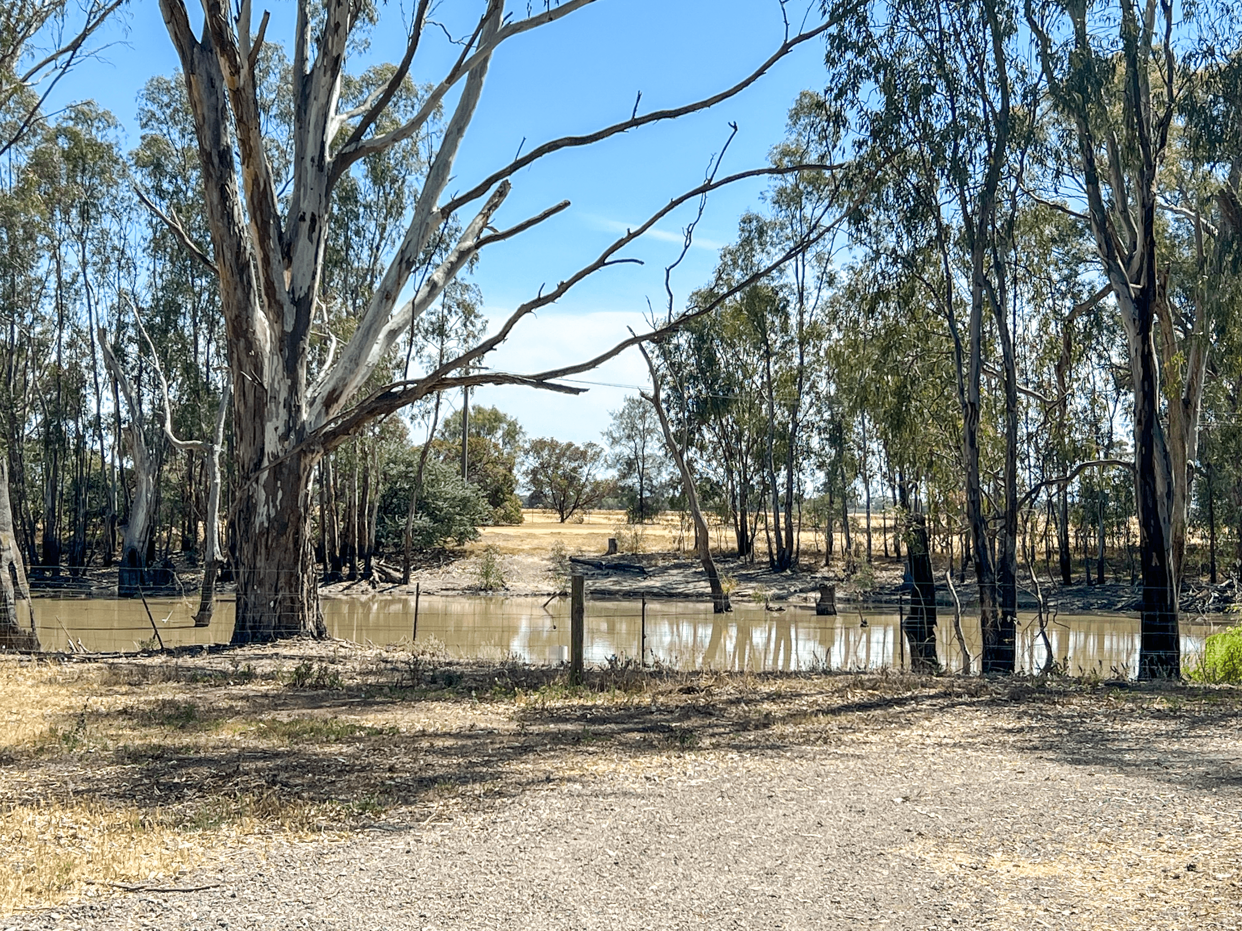 203 Barmah East Road, BARMAH, VIC 3639