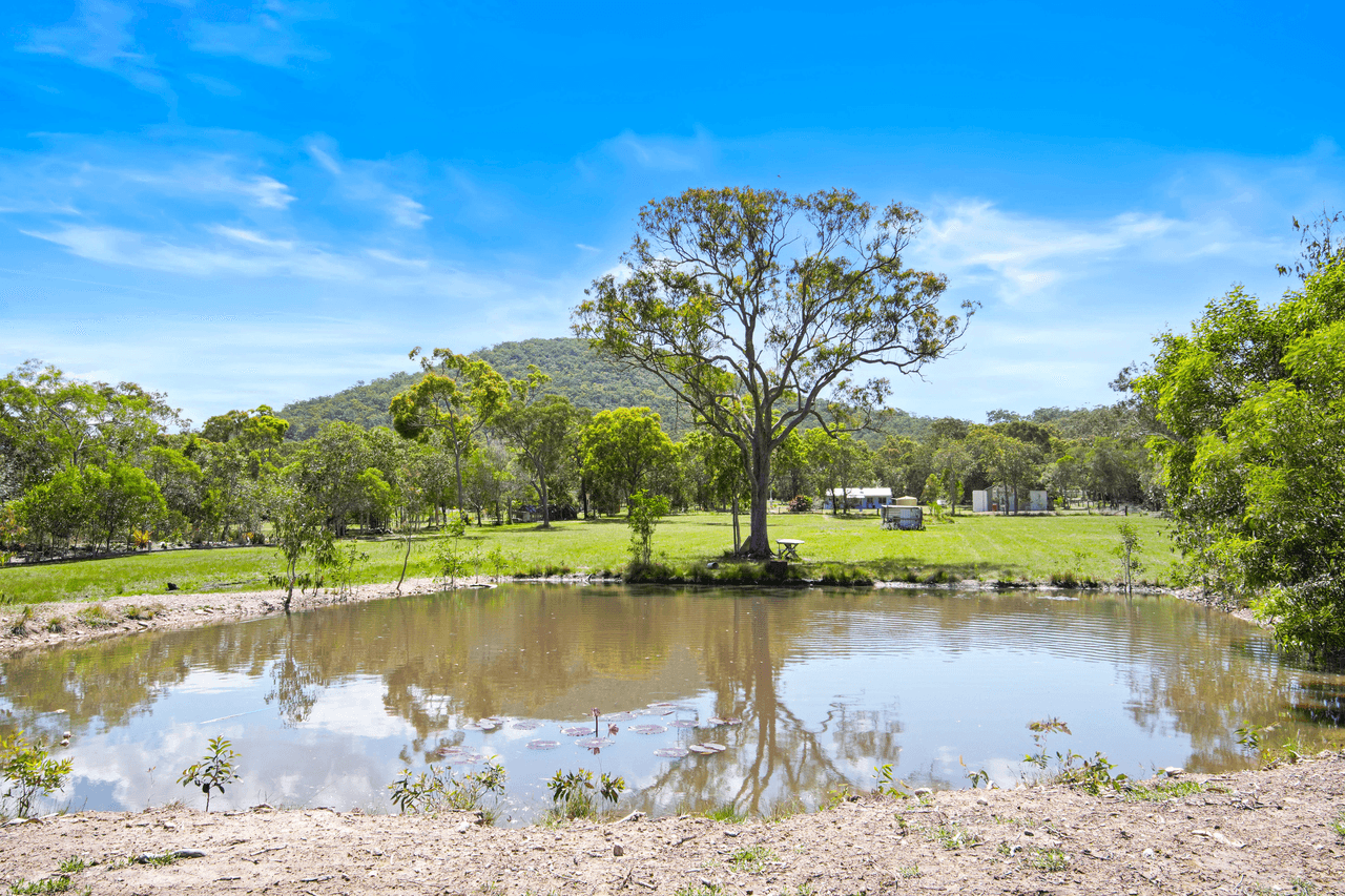 47 Mcghee Cres, AGNES WATER, QLD 4677