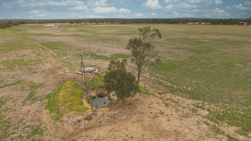 48 Tompsett Road, Tutunup, WA 6280