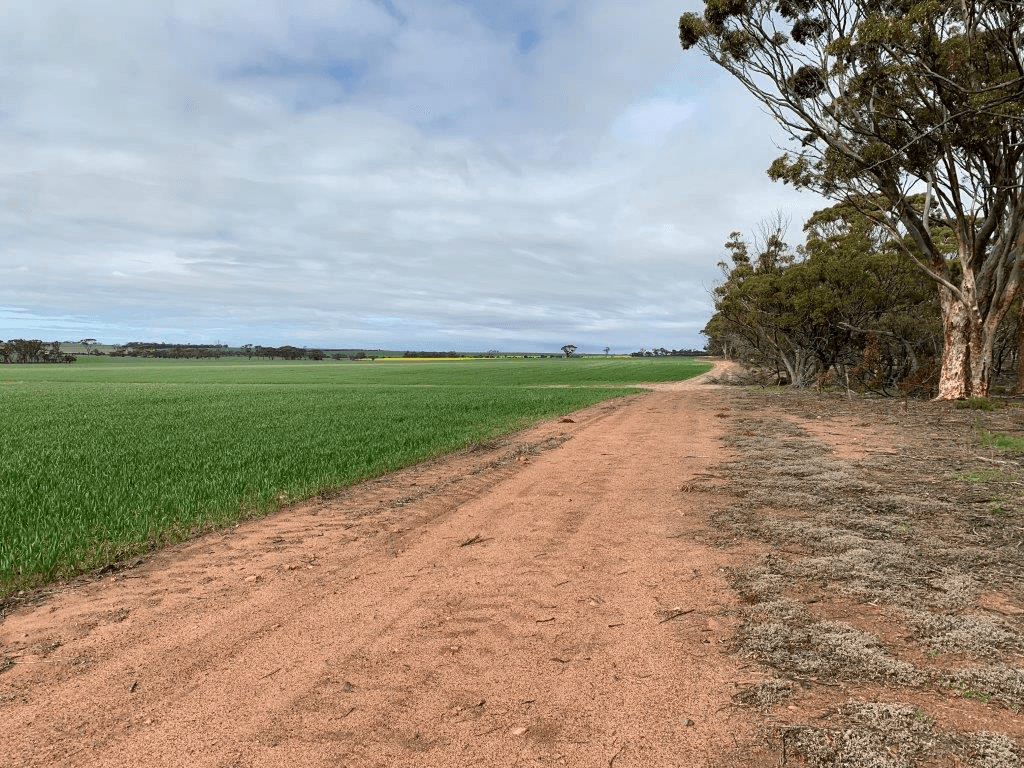 . Bellrock - Jubuk, CORRIGIN, WA 6375