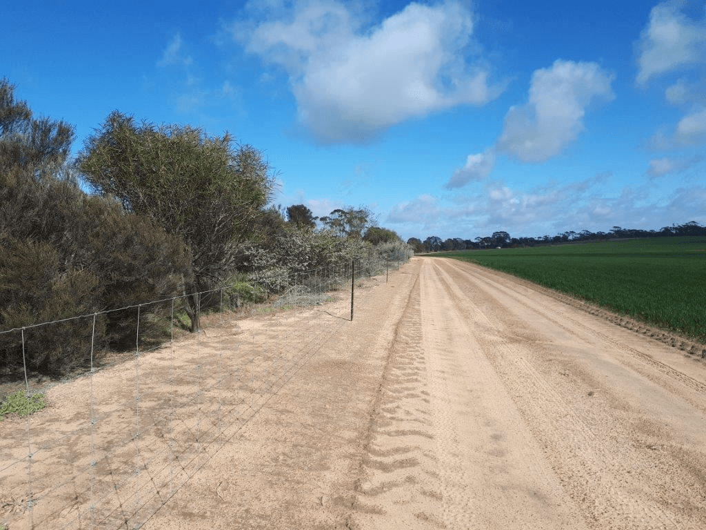 . Bellrock - Jubuk, CORRIGIN, WA 6375