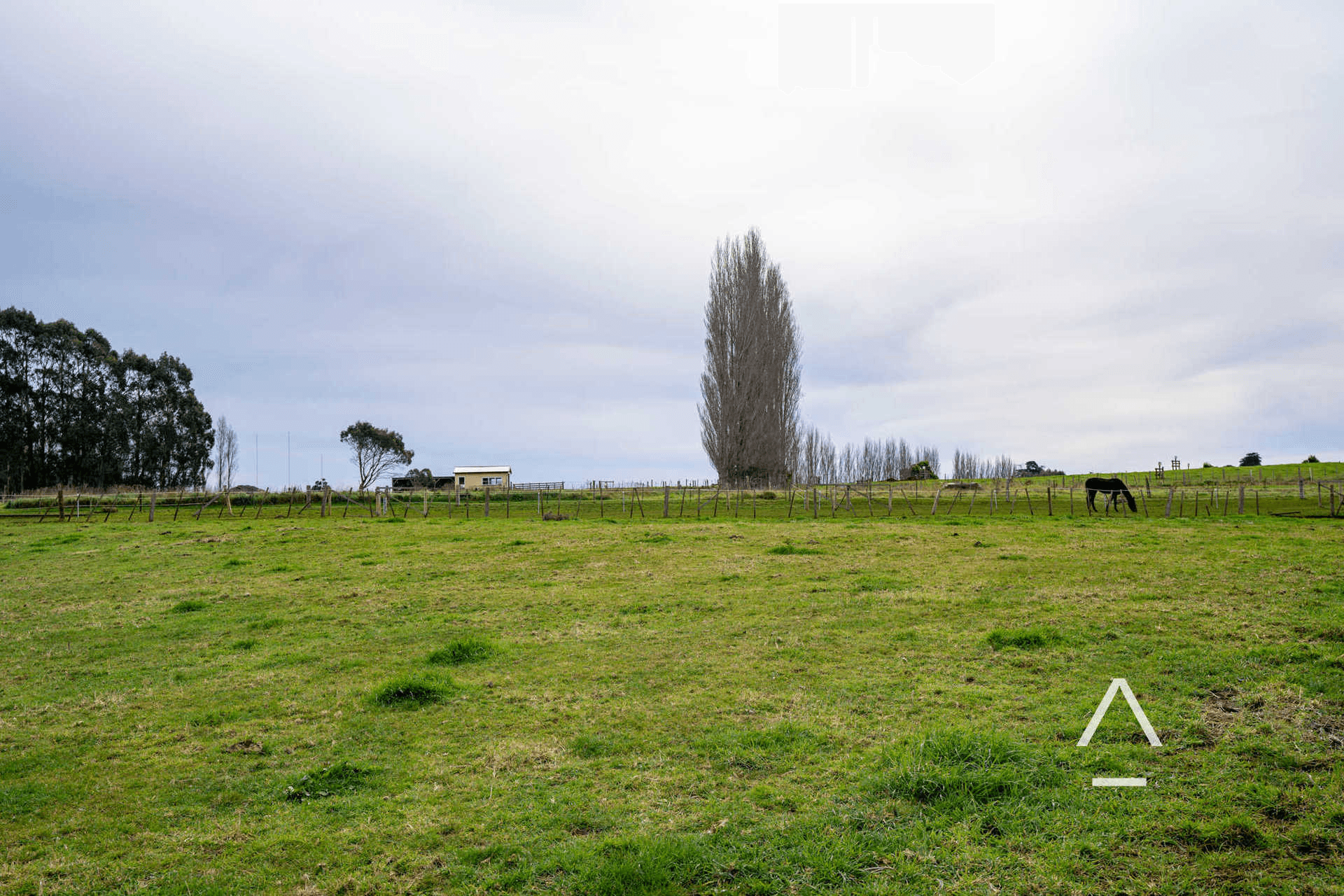 9 Willow Court, Winnaleah, TAS 7265