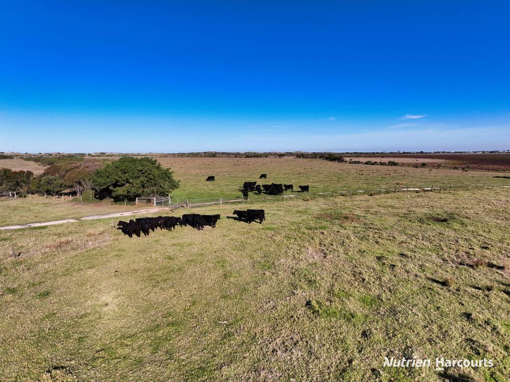 194 Tip Road, SEASPRAY, VIC 3851