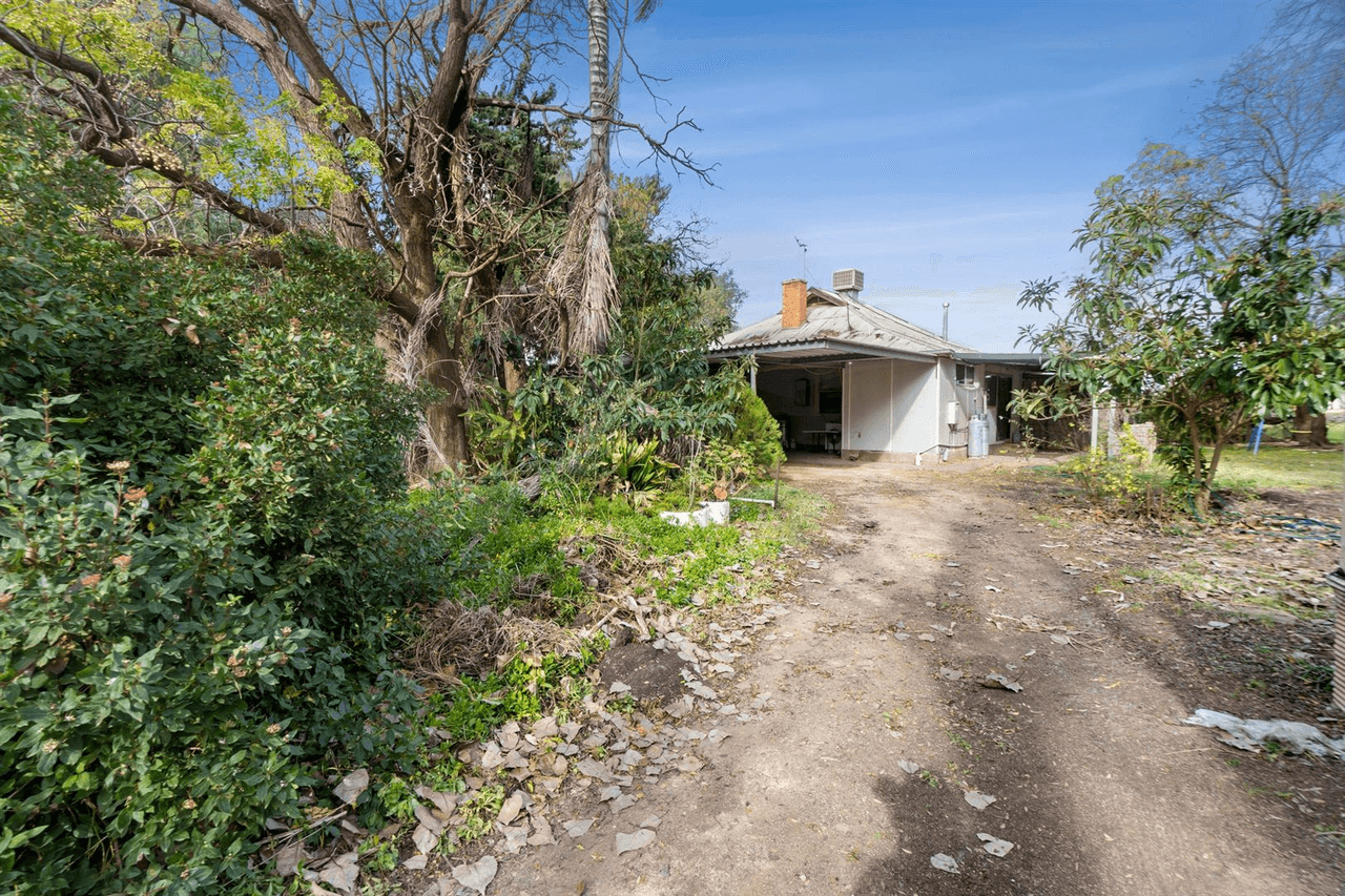 316 Chowilla Street Renmark West Street, Renmark, SA 5341