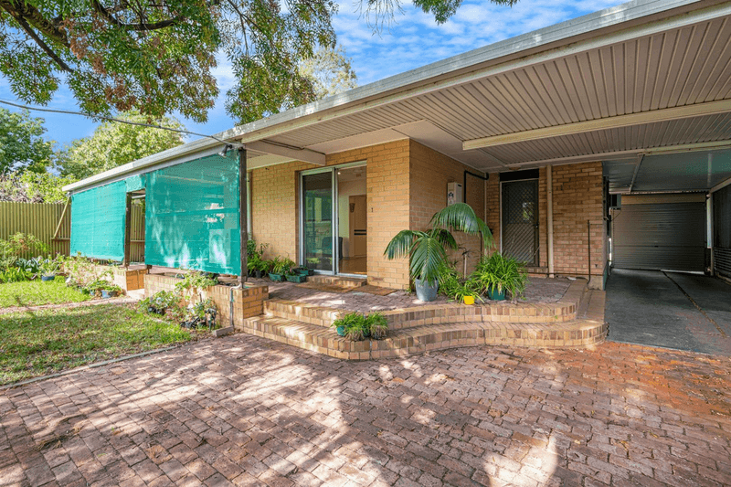 69 Ross Road, Hectorville, SA 5073