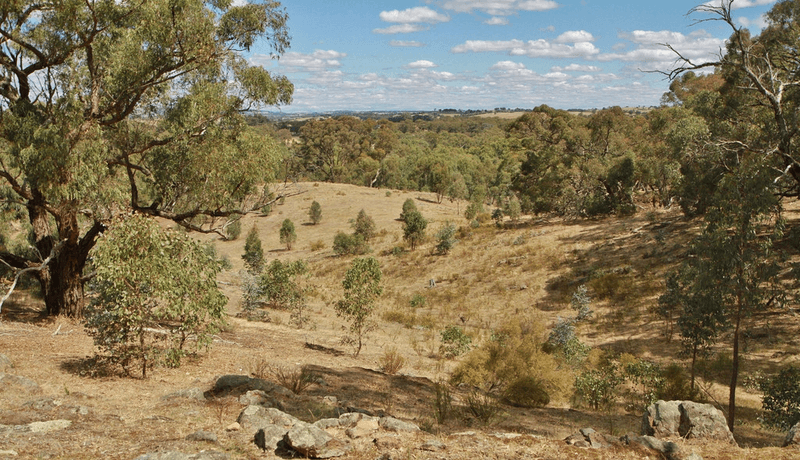 476 Spring Flat Road, HEATHCOTE, VIC 3523