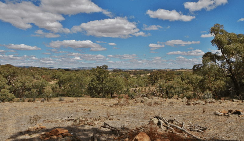 476 Spring Flat Road, HEATHCOTE, VIC 3523