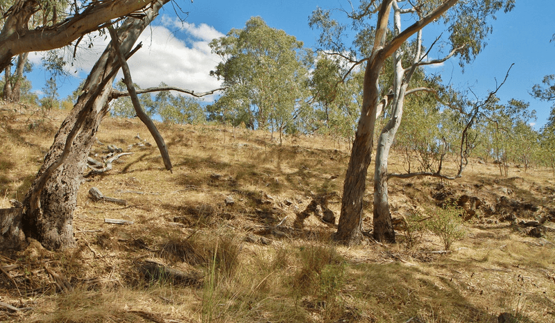 476 Spring Flat Road, HEATHCOTE, VIC 3523