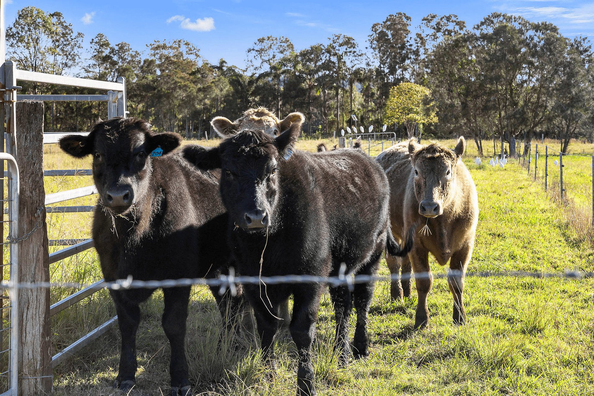 2 Byron Street, East Wardell, NSW 2477