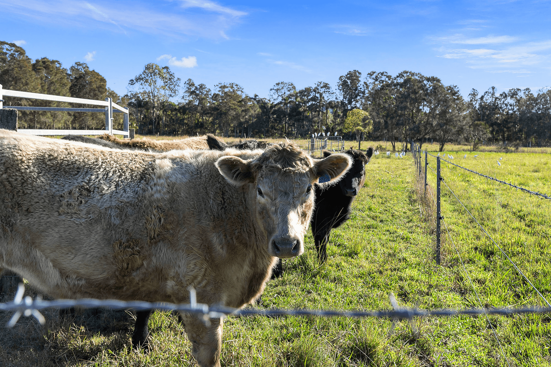 2 Byron Street, East Wardell, NSW 2477
