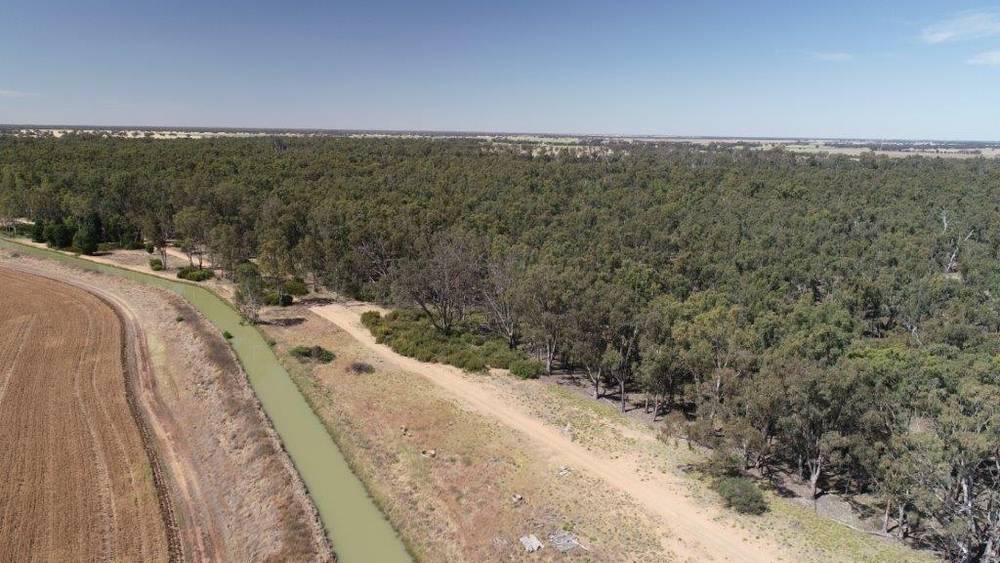 159 LOWER THULE ROAD, BARHAM, NSW 2732