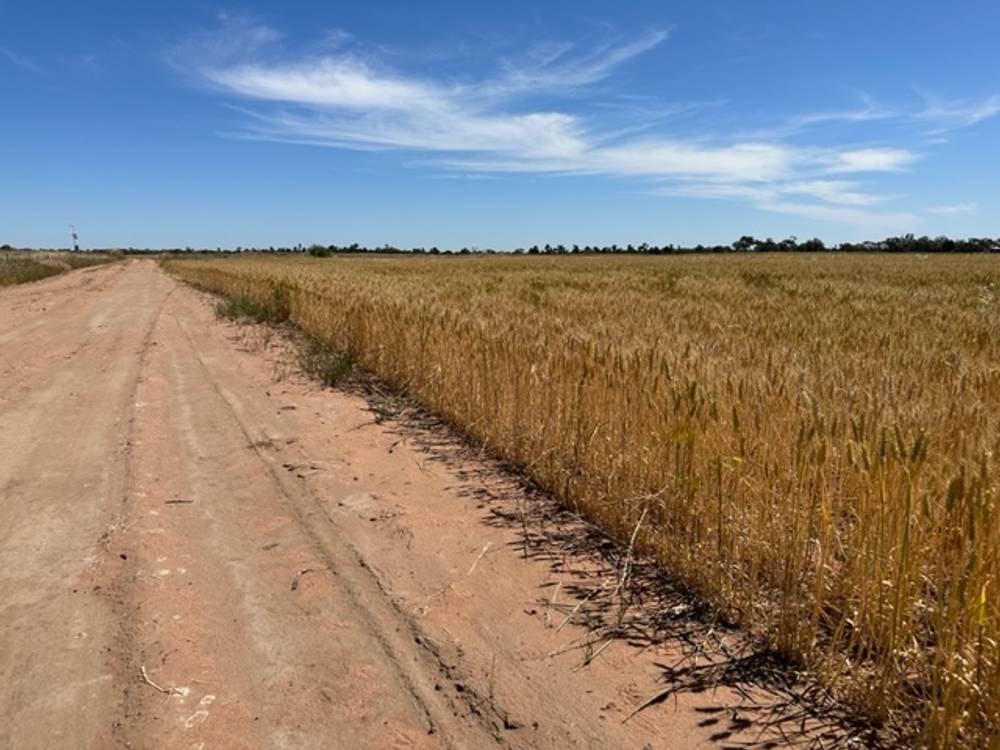 159 LOWER THULE ROAD, BARHAM, NSW 2732