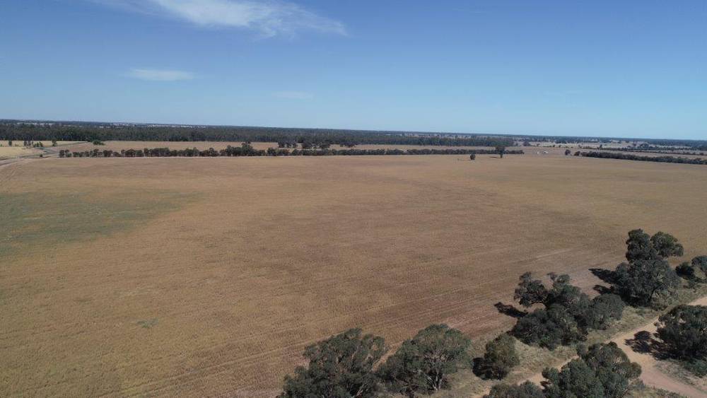 159 LOWER THULE ROAD, BARHAM, NSW 2732